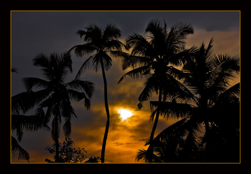 Kerala-Sun-Website